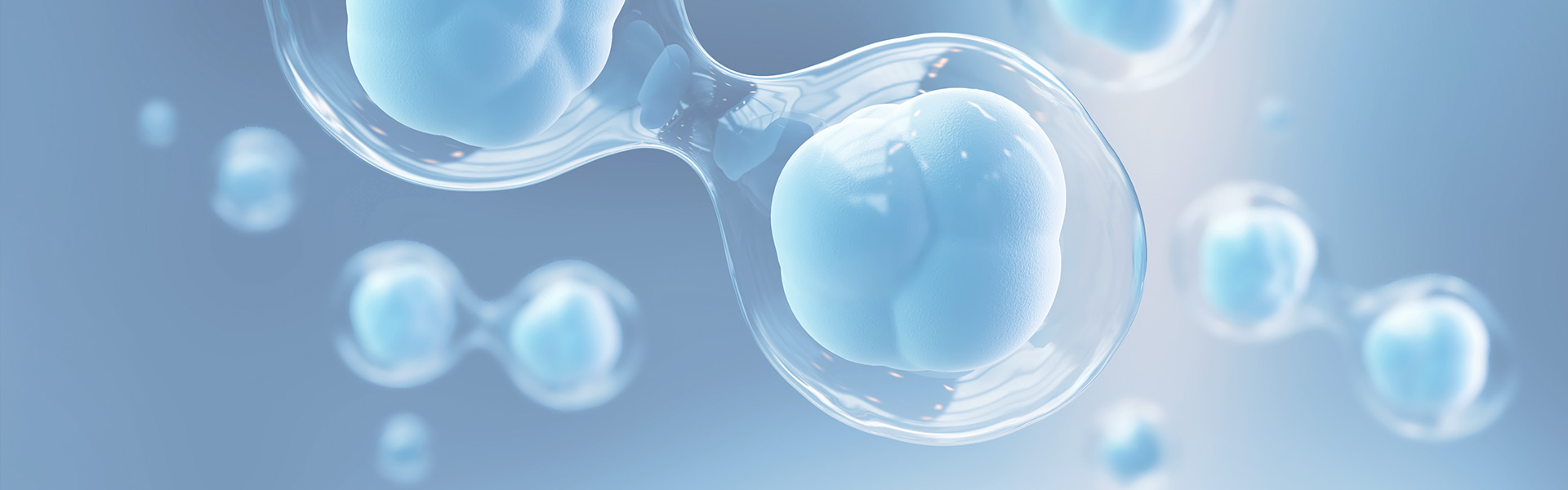 AG贵宾会·(中国游)集团首页